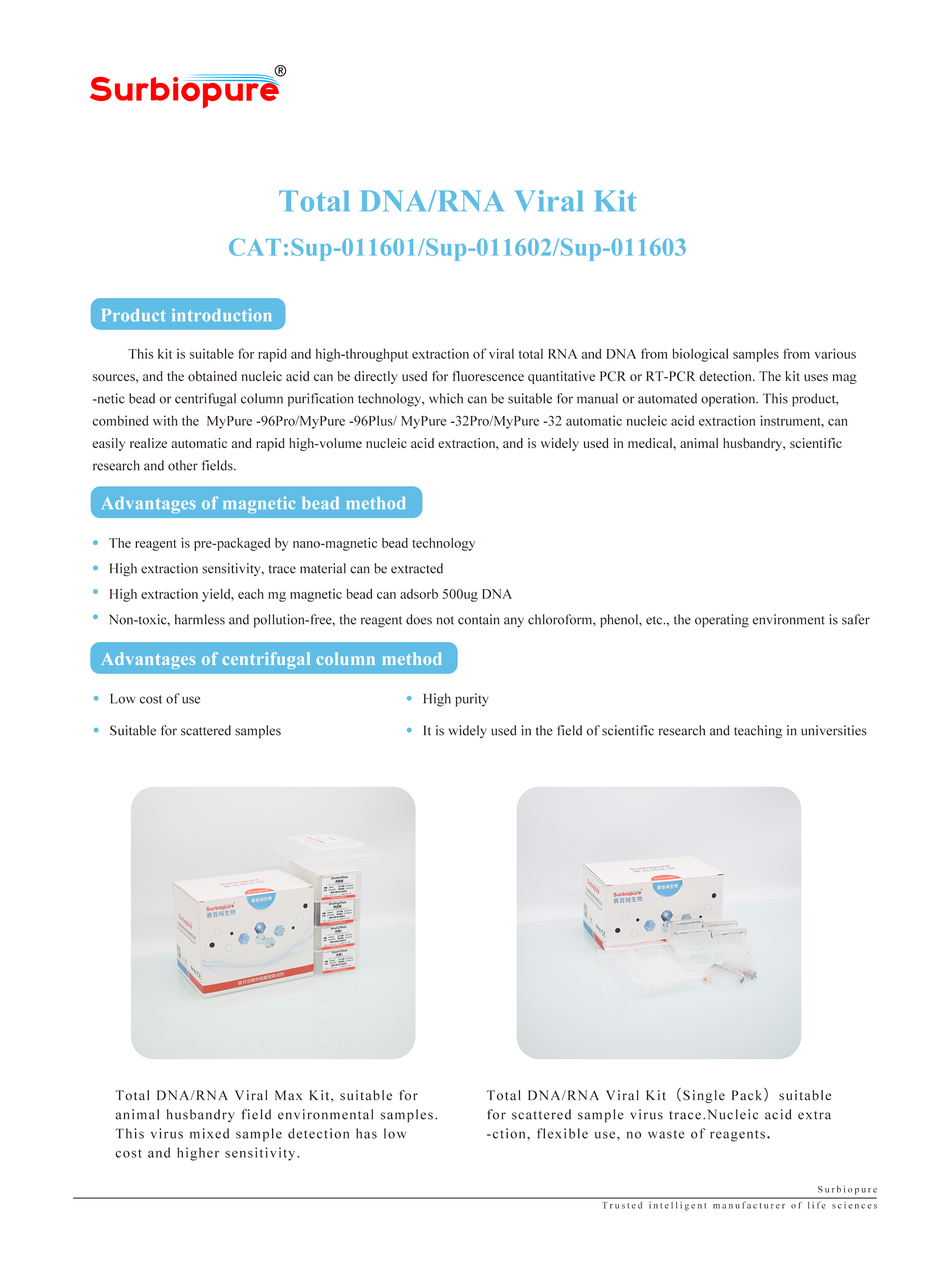 1724134535807018.jpg 畫板 21.jpg